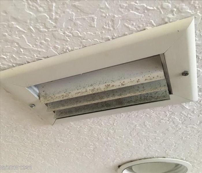 moldy vent cover