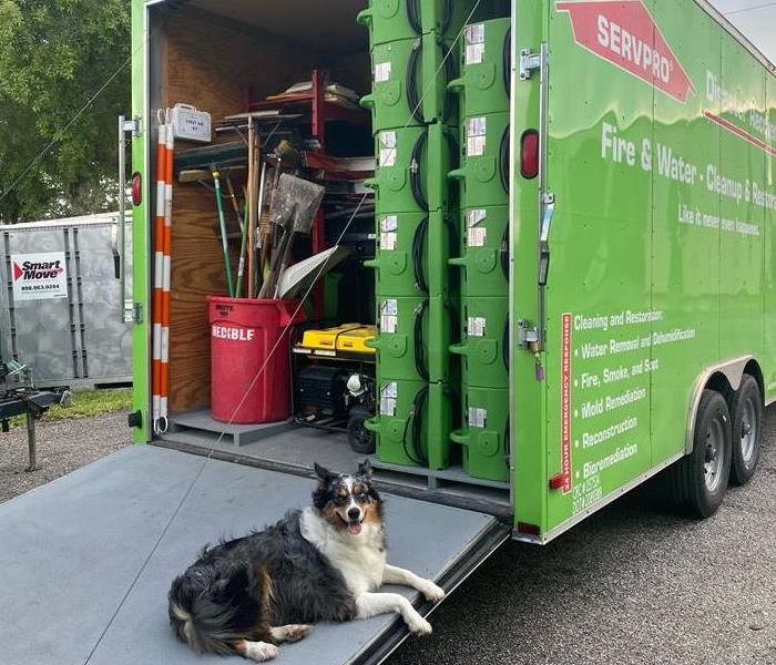 Photo of office dog sitting next to full trailer
