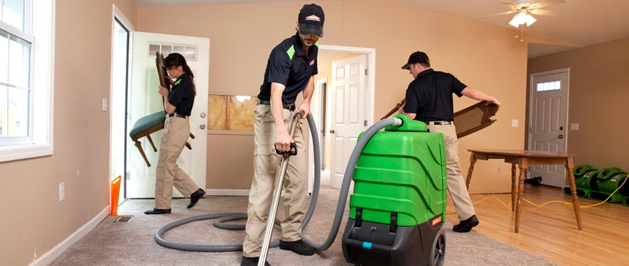 New Port Richey, FL cleaning services